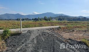 N/A Land for sale in Huai Sai, Chiang Mai 