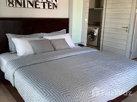 คอนโด 1 ห้องนอน ให้เช่า ในโครงการ โนเบิล รีไฟน์, คลองตัน