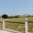  Land for sale in Pran Buri Prachuap Khiri Khan, Wang Phong, Pran Buri, Prachuap Khiri Khan