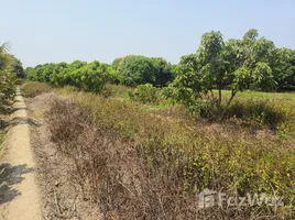  Terrain for sale in San Sai, Chiang Mai, Mae Faek Mai, San Sai