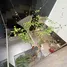 Maison 3 chambre à louer à Hoa Xuan, Da Nang, Hoa Xuan