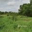  Land for sale in Khlong Sam, Khlong Luang, Khlong Sam