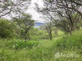 N/A Land for sale in Vilcabamba Victoria, Loja 6.2 hectares of beautiful land, Vilcabamba, Loja