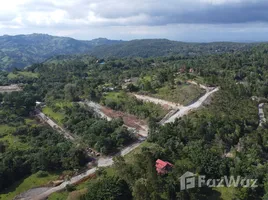 Terreno (Parcela) en venta en el República Dominicana, Jarabacoa, La Vega, República Dominicana