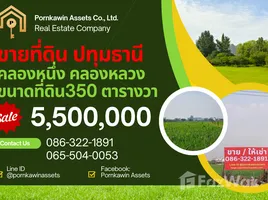 Land for sale in Khlong Luang Pathum Thani, Khlong Nueng, Khlong Luang, Pathum Thani