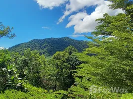 อพาร์ทเม้นท์ 3 ห้องนอน ให้เช่า ในโครงการ เซน สเปซ, กมลา, กะทู้