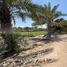  Terrain à vendre à Al Rahba., Al Muneera, Al Raha Beach, Abu Dhabi, Émirats arabes unis