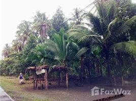 N/A Land for sale in , Limon Bananito Limon, Bananito Sur, Limon