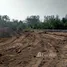  Land for sale in Choeng Thale, Phuket, Choeng Thale