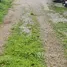  Land for sale in Tak Daet, Chumphon, Tak Daet, Mueang Chumphon
