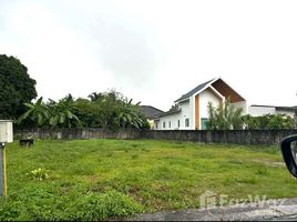 ขายที่ดิน ใน เทพกระษัตรี, ภูเก็ต, เทพกระษัตรี, ถลาง