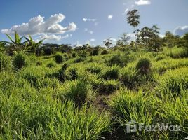  Land for sale in Boa Vista, Roraima, Boa Vista, Boa Vista