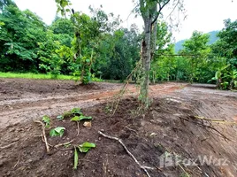 在萨科特山, 清迈出售的 土地, Pa Miang, 萨科特山