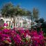 在Flamingo Villas出售的2 卧室 联排别墅, Al Riffa