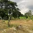  Land for sale in Mae Rim Chiang Mai, Rim Tai, Mae Rim, Chiang Mai