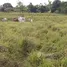  Terreno for sale in Brasil, Abaetetuba, Pará, Brasil