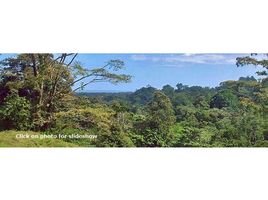 N/A Land for sale in , Limon Penshurst, Limón, Address available on request