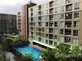 คอนโด 1 ห้องนอน ให้เช่า ในโครงการ ลุมพินี เพลส บางนา กม.3, บางนา, บางนา, กรุงเทพมหานคร