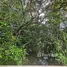 ขายที่ดิน ใน ปากน้ำ, กระบี่, ปากน้ำ