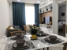 Studio Căn hộ for rent at Xi Grand Court, Phường 14, Quận 10