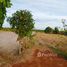  Land for sale in Kalasin, Sam Kha, Kuchinarai, Kalasin