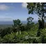  Land for sale at Uvita, Osa