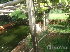 2 Bedroom House for sale in Brazil, Fernando De Noronha, Fernando De Noronha, Rio Grande do Norte, Brazil