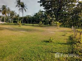 ขายที่ดิน ใน นาเตย, พังงา, นาเตย, ท้ายเหมือง