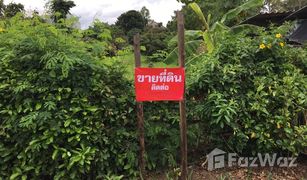 N/A Grundstück zu verkaufen in San Mahaphon, Chiang Mai 