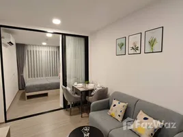 คอนโด 1 ห้องนอน ให้เช่า ในโครงการ THE BASE Bukit, วิชิต, เมืองภูเก็ต, ภูเก็ต