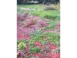  Terrain for sale in Fernando De Noronha, Rio Grande do Norte, Fernando De Noronha, Fernando De Noronha