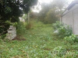  Terreno (Parcela) en venta en São Paulo, Pesquisar, Bertioga, São Paulo