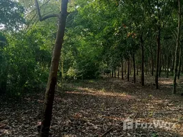 ขายที่ดิน ใน บางน้ำเปรี้ยว, ฉะเชิงเทรา, บางน้ำเปรี้ยว, บางน้ำเปรี้ยว, ฉะเชิงเทรา