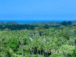 ขายที่ดิน ใน อ่างทอง, สุราษฎร์ธานี, อ่างทอง