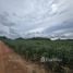 Land for sale in Sattahip, Chon Buri, Bang Sare, Sattahip
