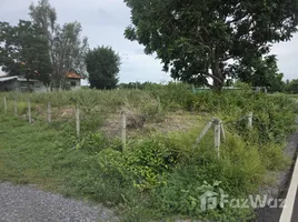  Terreno (Parcela) en venta en Pak Nam Pran, Hua Hin, Pak Nam Pran, Pran Buri, Prachuap Khiri Khan, Tailandia