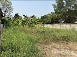  Grundstück zu verkaufen in Mueang Nonthaburi, Nonthaburi, Sai Ma, Mueang Nonthaburi