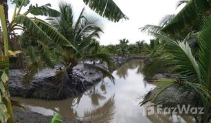 巴吞他尼 Bueng Ba N/A 土地 售 