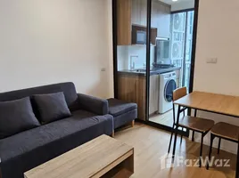 1 Bedroom Condo for rent at Cerocco Bangna 36, Bang Na