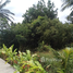  Land for sale in Ko Pha-Ngan, Surat Thani, Ko Pha-Ngan, Ko Pha-Ngan