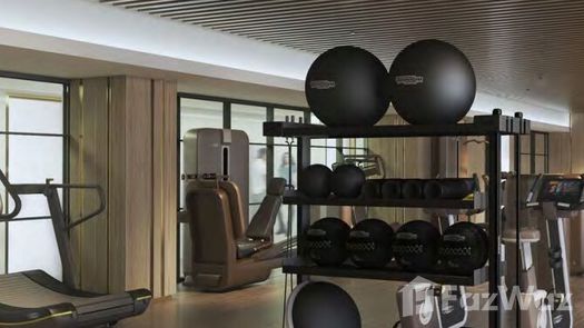 图片 1 of the Communal Gym at Five Luxe JBR