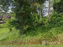 ขายที่ดิน ใน เมืองภูเก็ต ภูเก็ต, กะรน