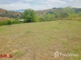  Terreno (Parcela) en venta en Puente Colgante De Occidente, Olaya, Santa Fe De Antioquia