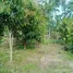 ขายที่ดิน ใน บ้านเอื้อม, ลำปาง, บ้านเอื้อม, เมืองลำปาง