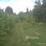  Grundstück zu verkaufen in Sukamulia, Lombok, Sukamulia, Lombok Timur