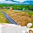  토지을(를) Mueang Nakhon Nayok, Nakhon Nayok에서 판매합니다., 사리카, Mueang Nakhon Nayok