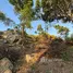  Land for sale in Ban Tai, Surat Thani, Ban Tai, Koh Phangan