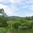  Terrain for sale in Thalang, Phuket, Thep Krasattri, Thalang