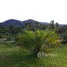  Land for sale in Pa Khlok, Phuket, Pa Khlok