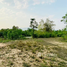  Land for sale in Chom Thong, Chiang Mai, Chom Thong